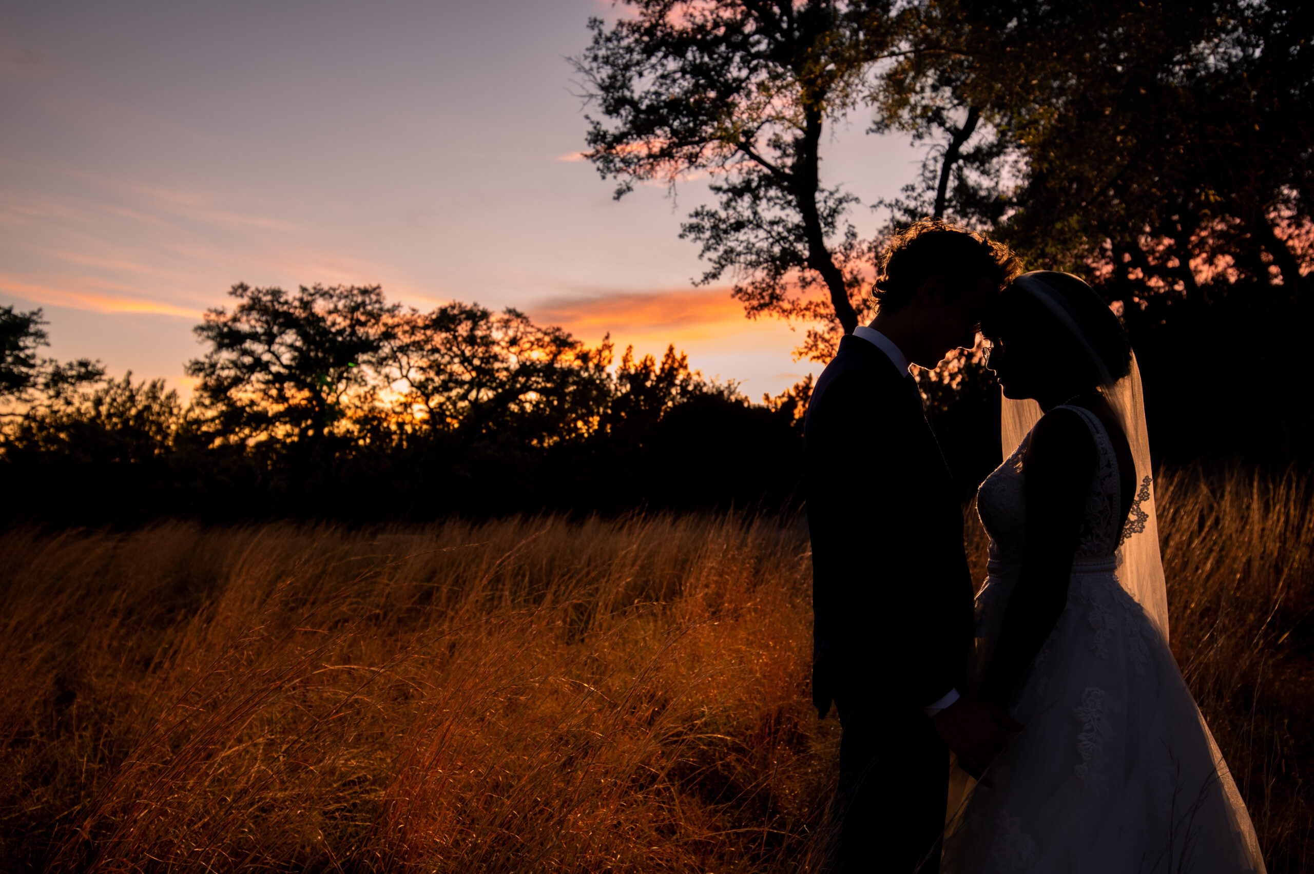 Bride and groom sharing an intimate moment at sunset in Dripping Springs, TX, standing in tall grass next to an oak tree.