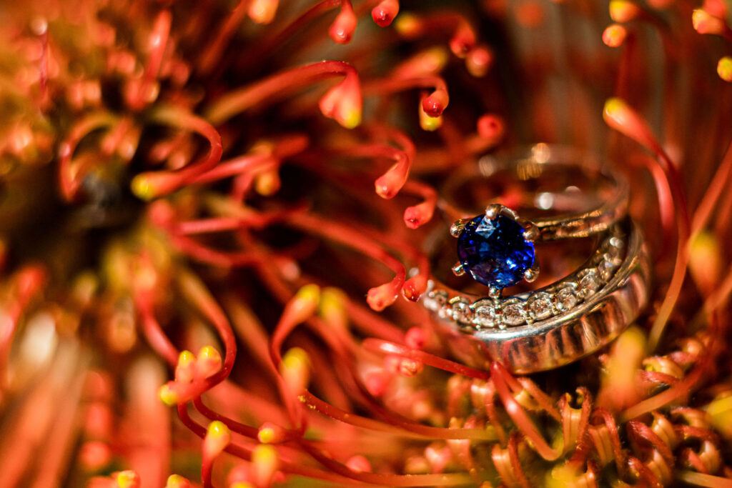 a set of wedding rings laying on a flower at a duchman winery wedding