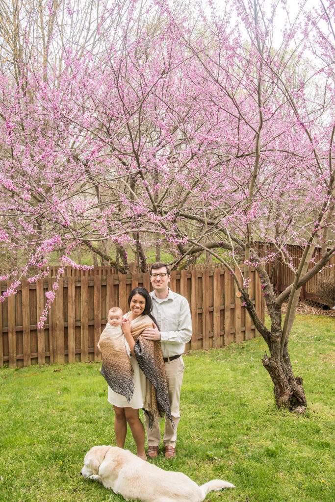 a family poses in their backyard in front of a cherry blossom tree with their dog
